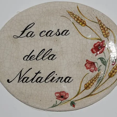 Lejlighed La Casa Di Natalina Querceta